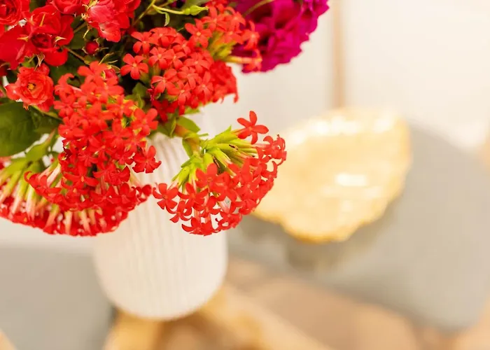 Fernao De Ornelas By Heart Of 丰沙尔