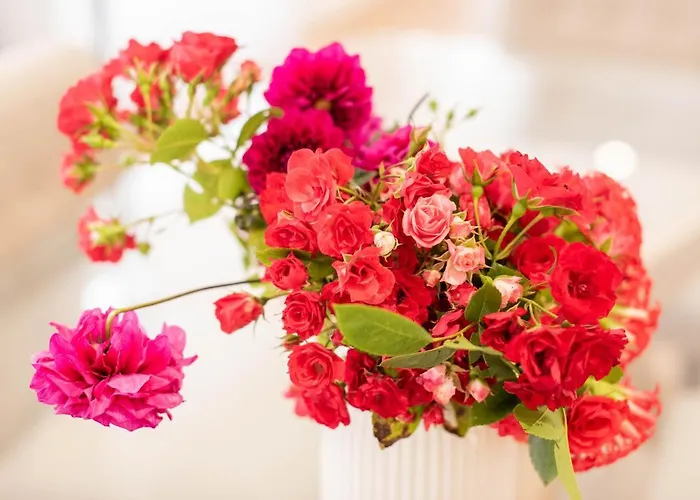 Fernao De Ornelas By Heart Of 公寓