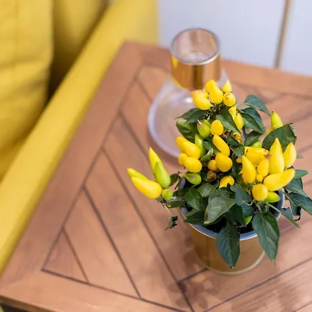 Lägenhet Fernao De Ornelas By Heart Of *