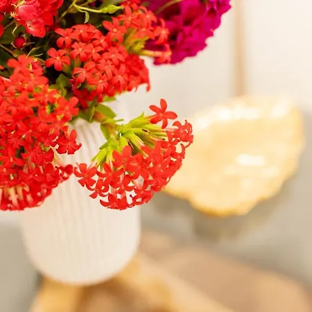 Fernao De Ornelas By Heart Of 丰沙尔