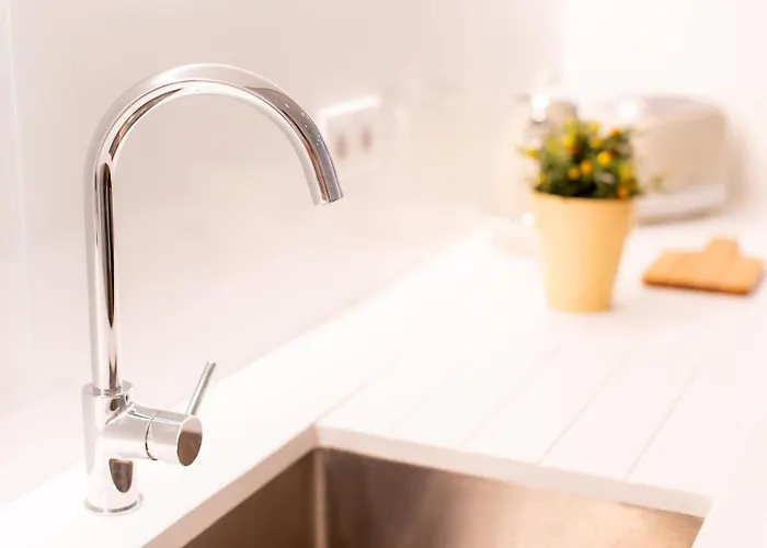 Fernao De Ornelas By Heart Of