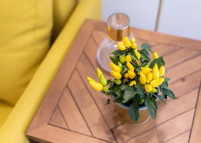 公寓 Fernao De Ornelas By Heart Of *