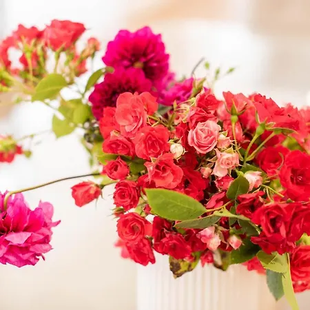 Fernão De Ornelas By Heart Of Apartamento